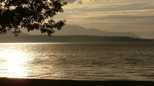 marinepark_fw